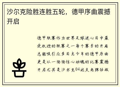 沙尔克险胜连胜五轮，德甲序曲震撼开启